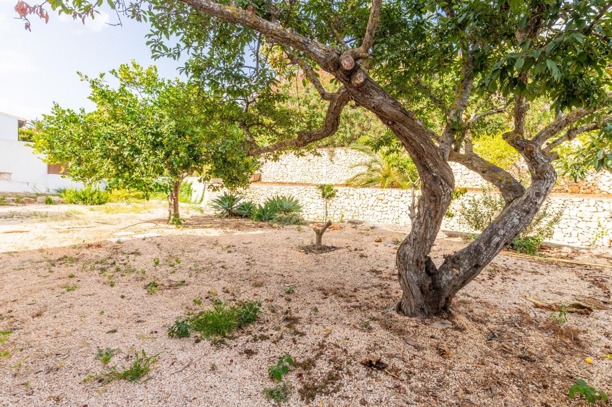 14 - El Portet Holiday home *